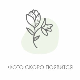 Букет с витрины №510