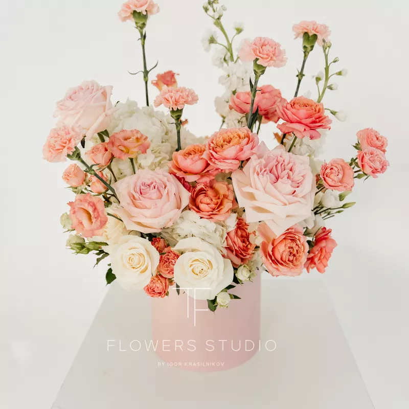 Ла-ла Ленд 1