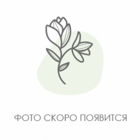 25 желтых роз от интернет-магазина «Flowers Studio» в Чебоксарах