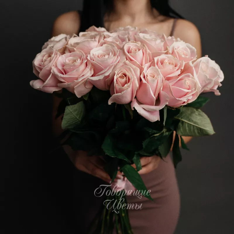 25 розовых роз 3
