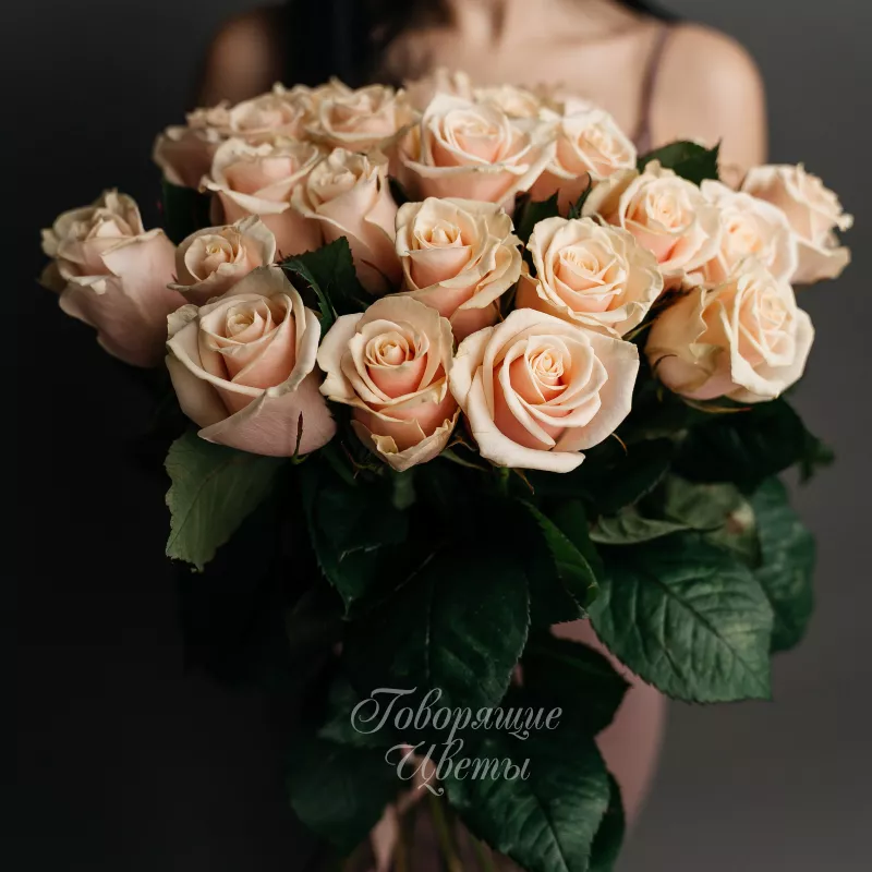 25 персиковых роз 2