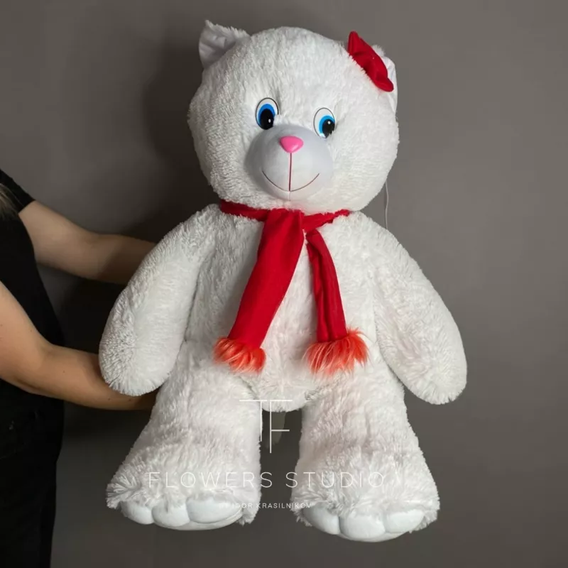 Кошка с цветком