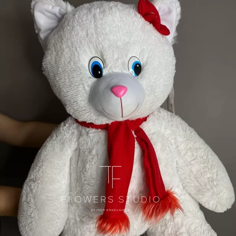 Кошка с цветком 2