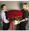 Кения 201 в коробке 2