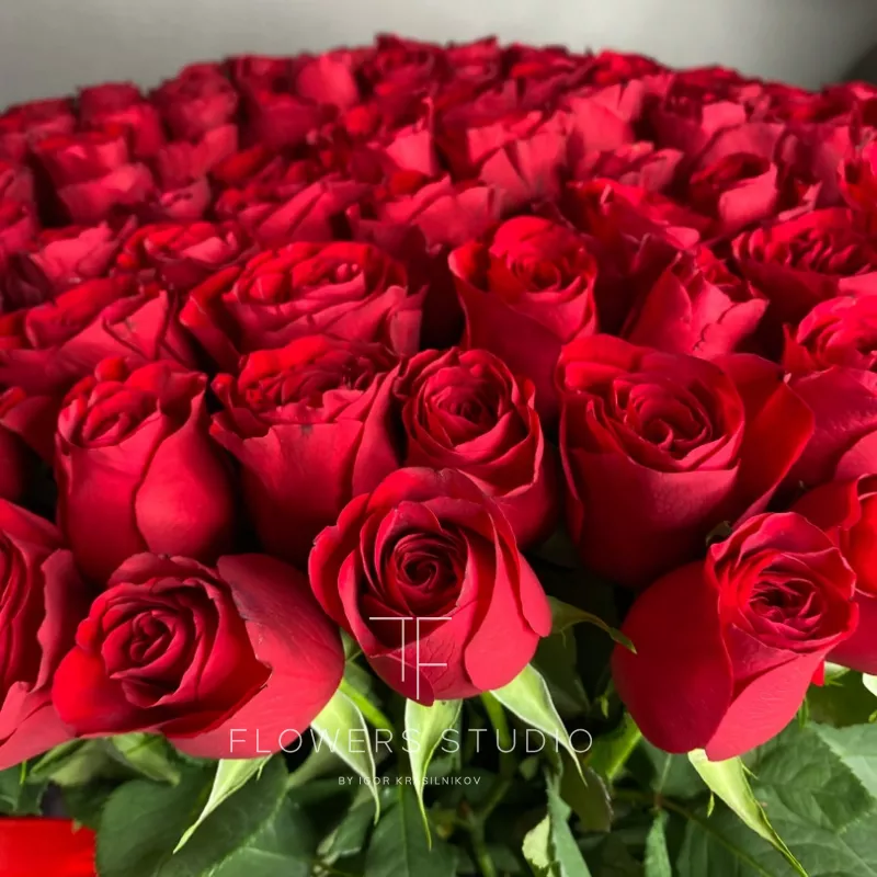 Кения 201 в коробке 3