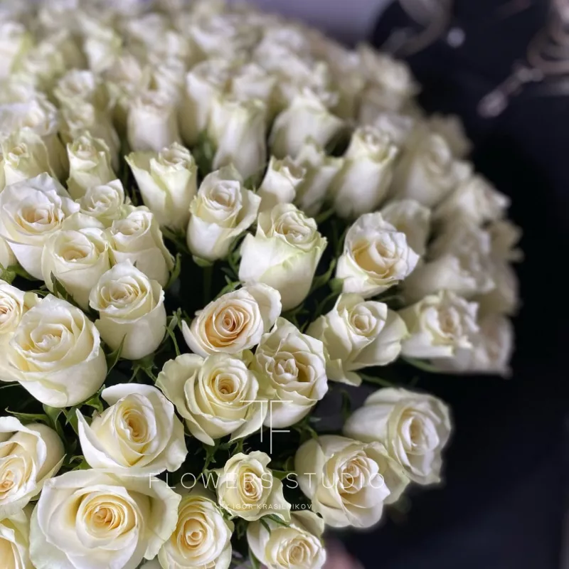 Кения 201 в коробке 1