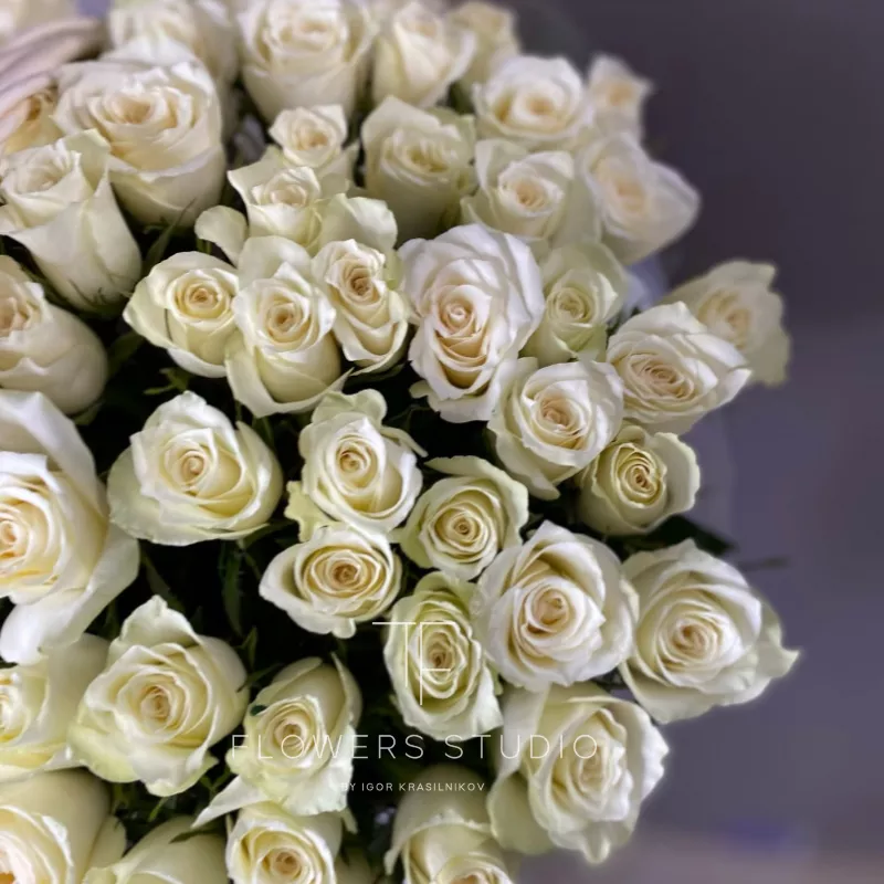 101 Кения в корзине 1