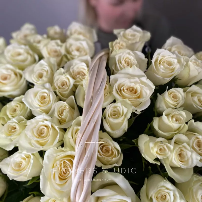 101 Кения в корзине 2