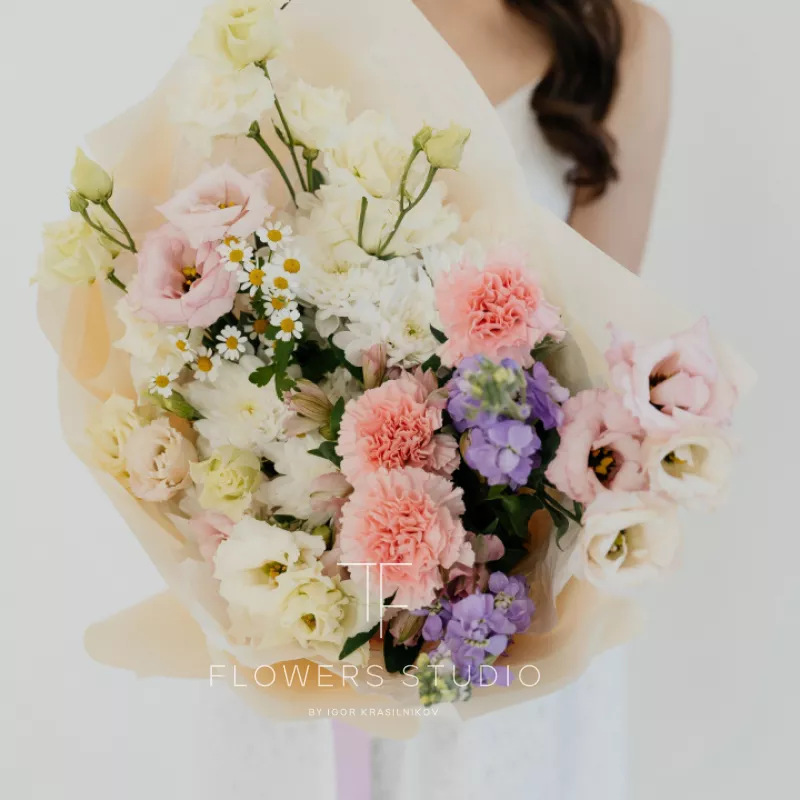 Аристократ 1