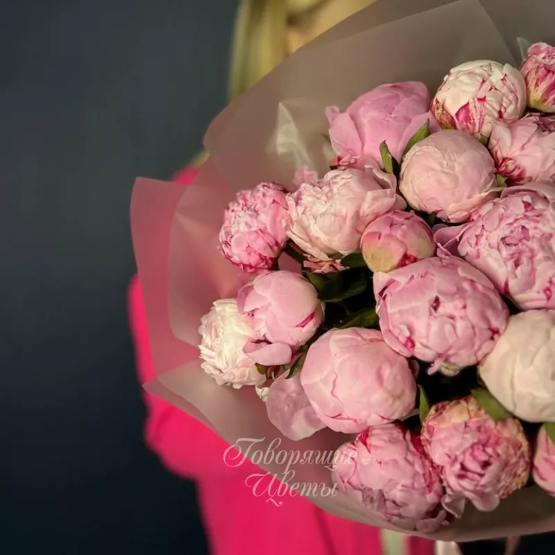25 нежно-розовых пионов 1