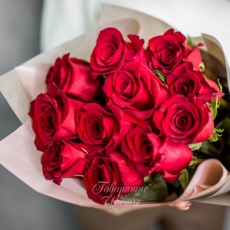 11 красных роз (премиум сорт)