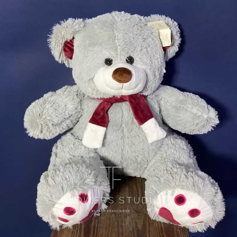 Медведь Кельвин 