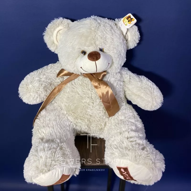 Медведь Амур