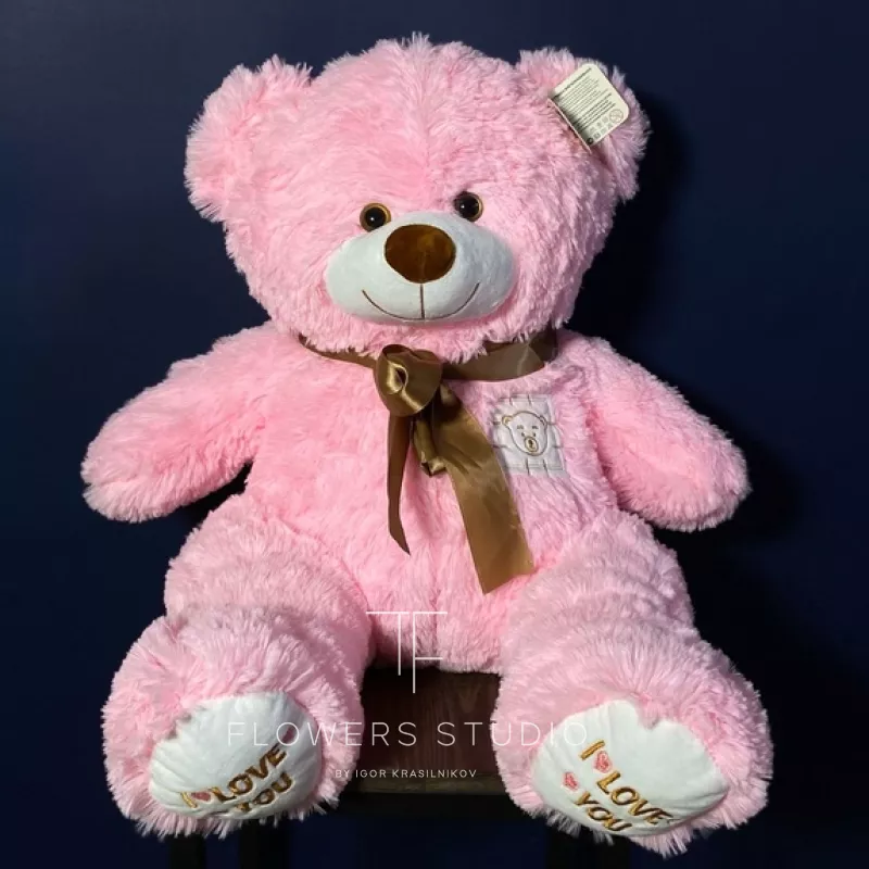 Медведь Топтыжка