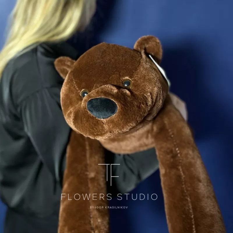 Медведь Бруно коричневый