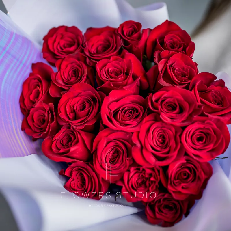 21 красная роза (премиум сорт) 2