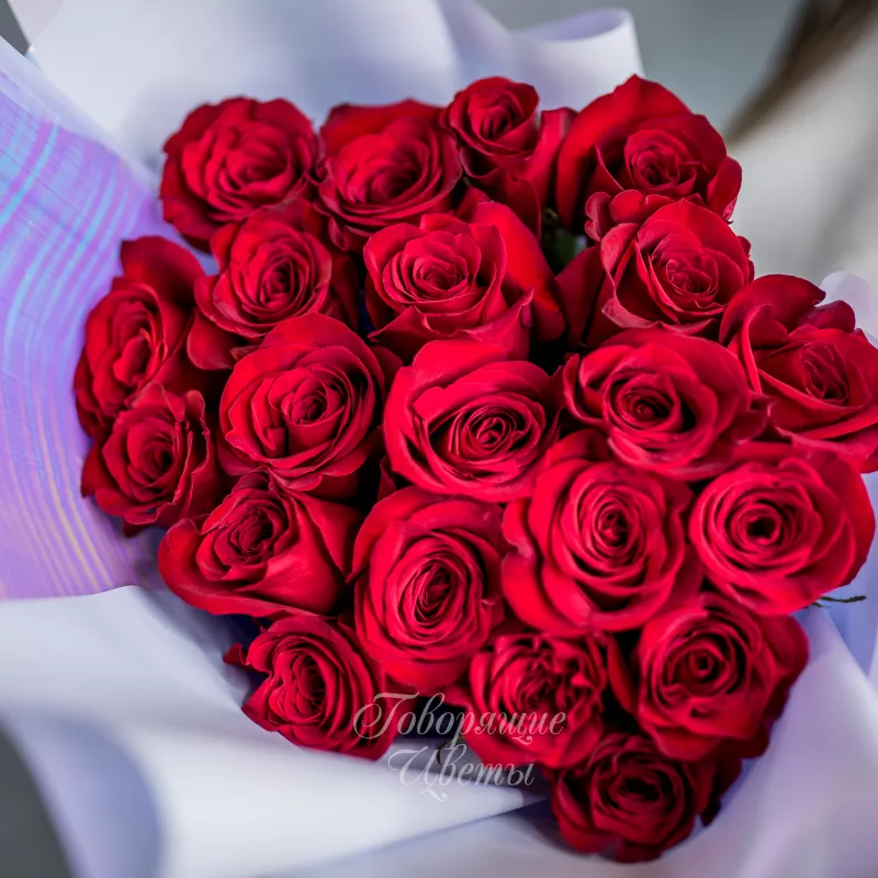 21 красная роза (премиум сорт) 2