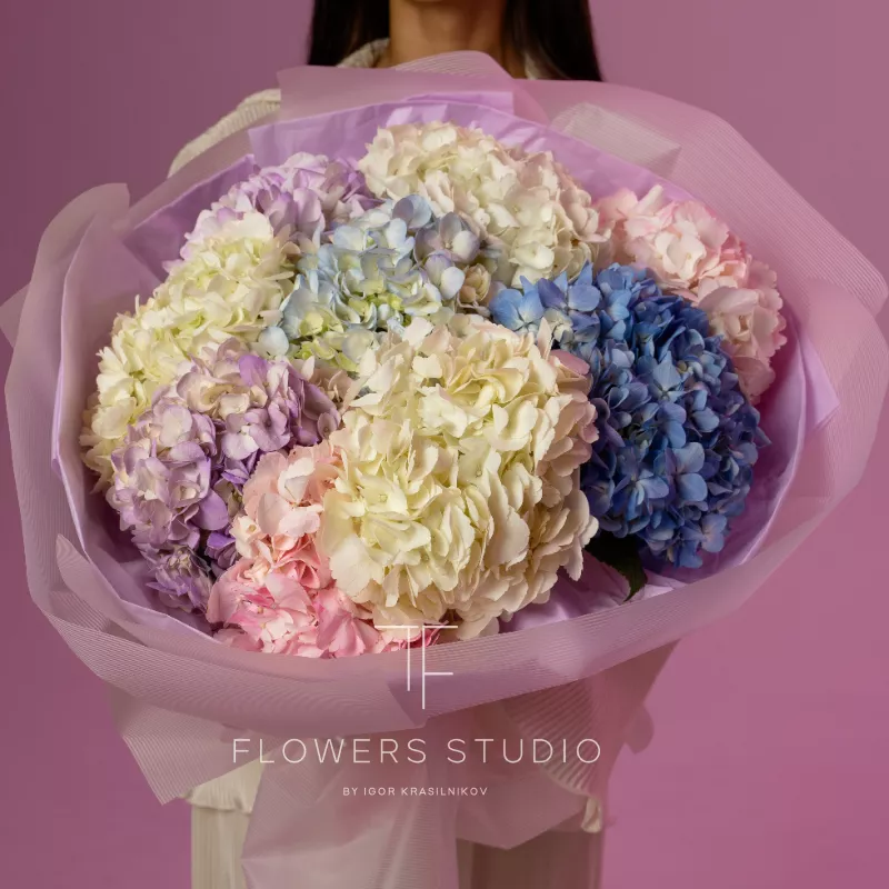 Яркие желания  1