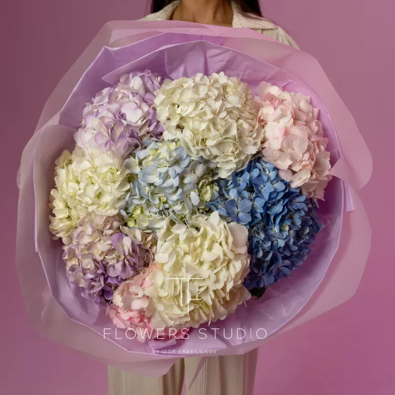 Яркие желания 