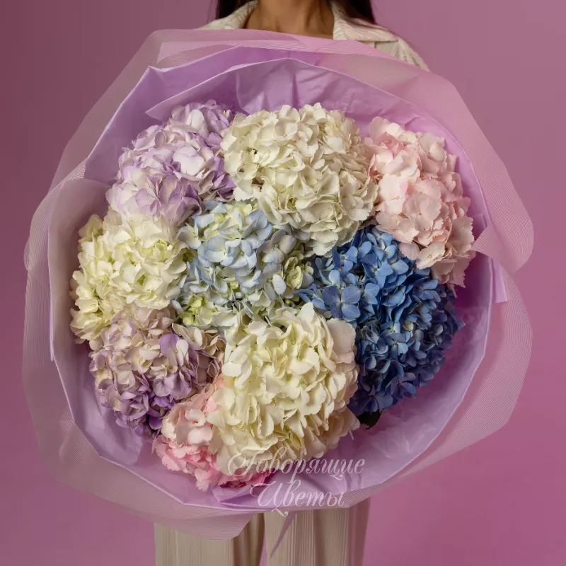 Яркие желания 