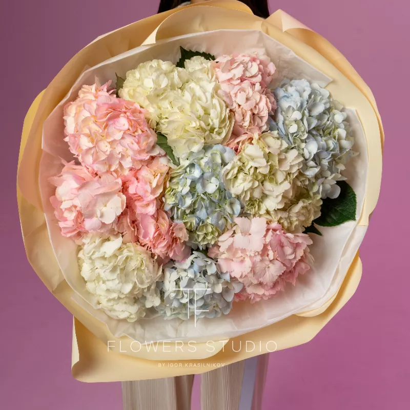 Ты мое счастье 2