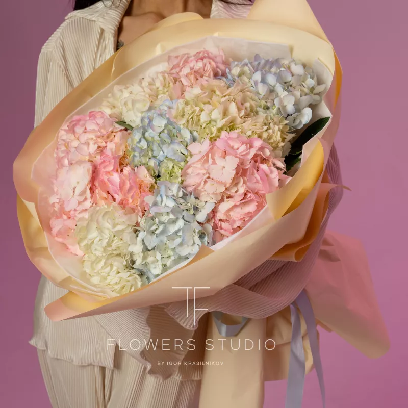 Ты мое счастье 1