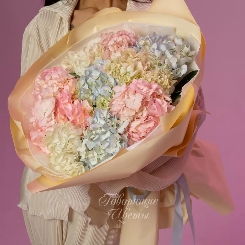 Ты мое счастье 1