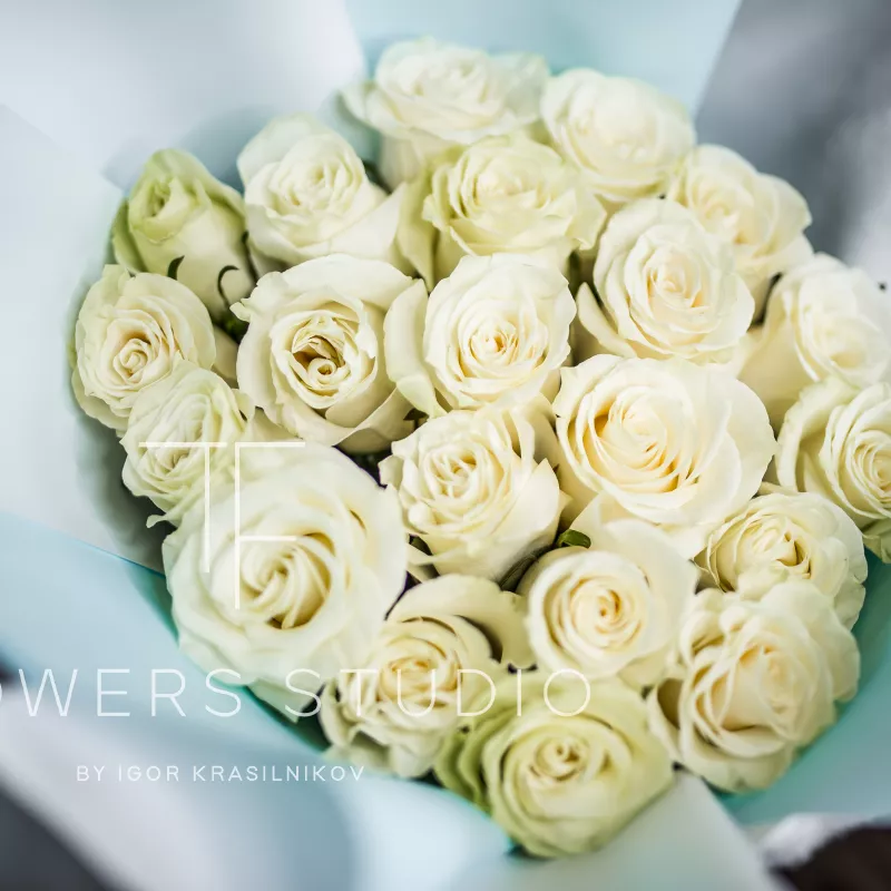 21 белая роза (премиум сорт) 1