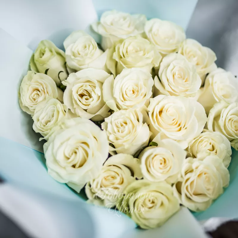 21 белая роза (премиум сорт) 1