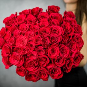 51 красная роза (Премиум сорт) от интернет-магазина «Flowers Studio» в Чебоксарах