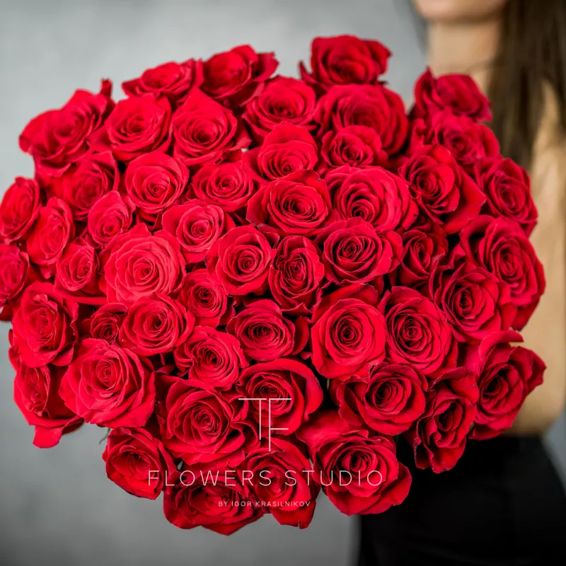 51 красная роза (Премиум сорт)