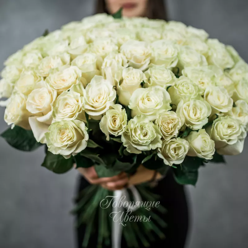 101 белая роза (Премиум сорт) 2
