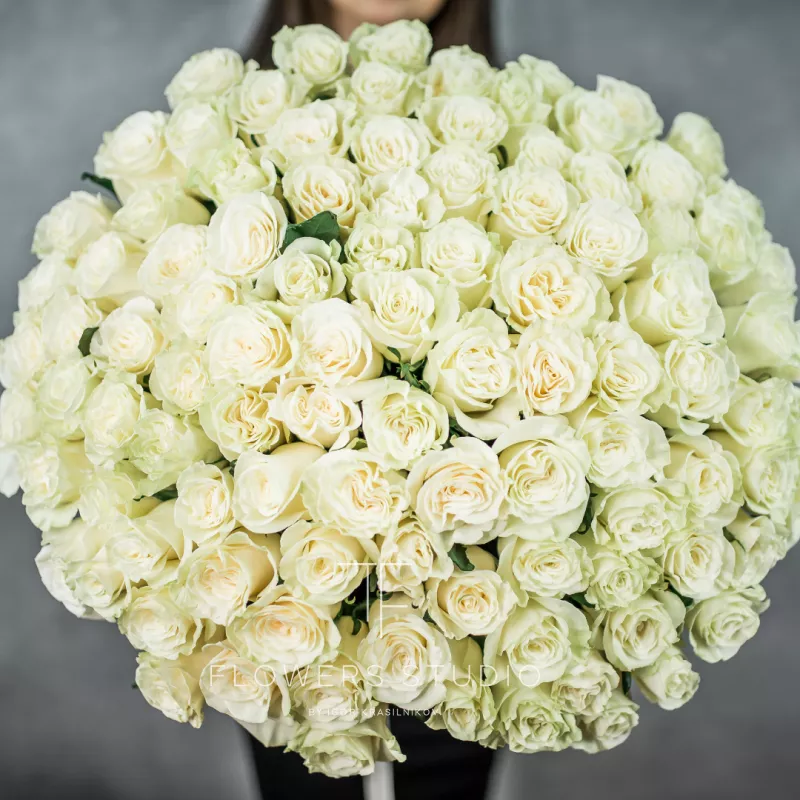 101 белая роза (Премиум сорт) 3