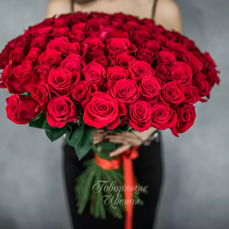 101 красная роза (Премиум сорт) 1