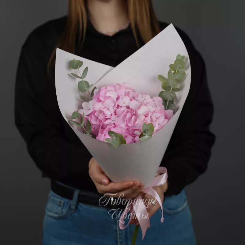  Облако нежности  1