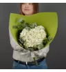Утренняя роса