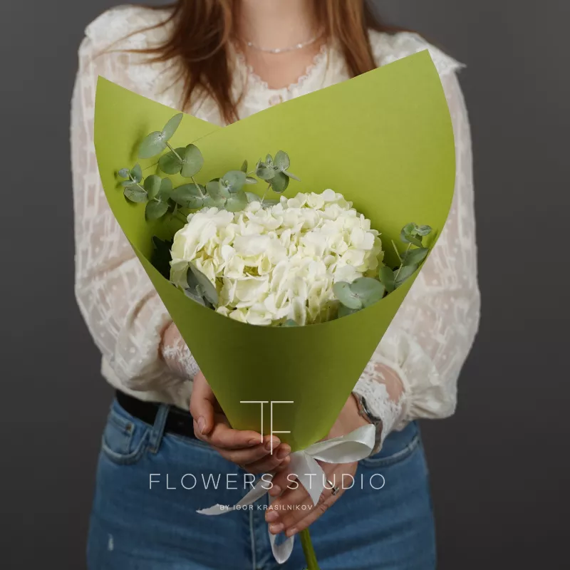 Утренняя роса 1