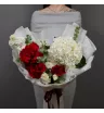 Рафэлло 1