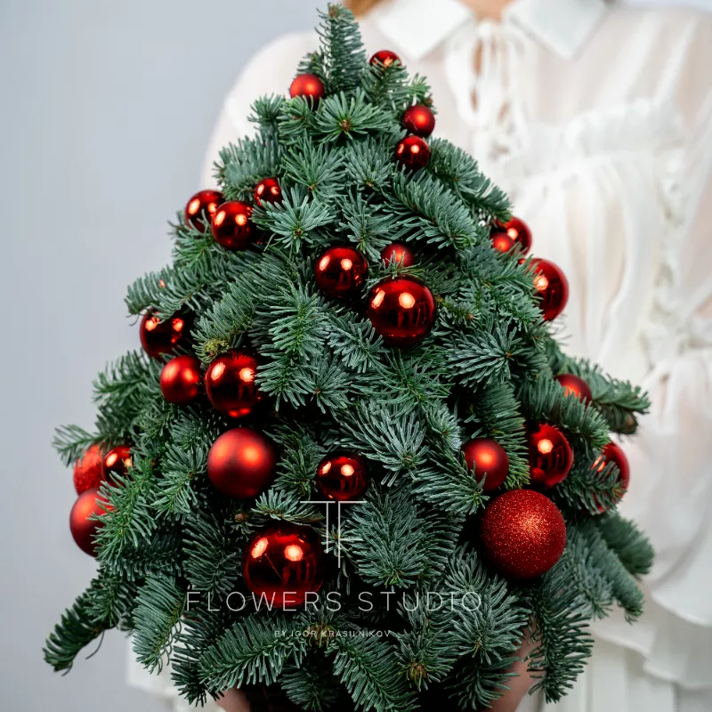 Елочка из Устюга  1