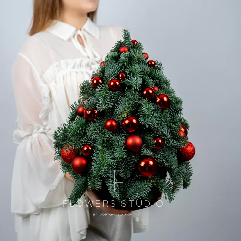 Елочка из Устюга 