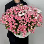 Собраны сегодня