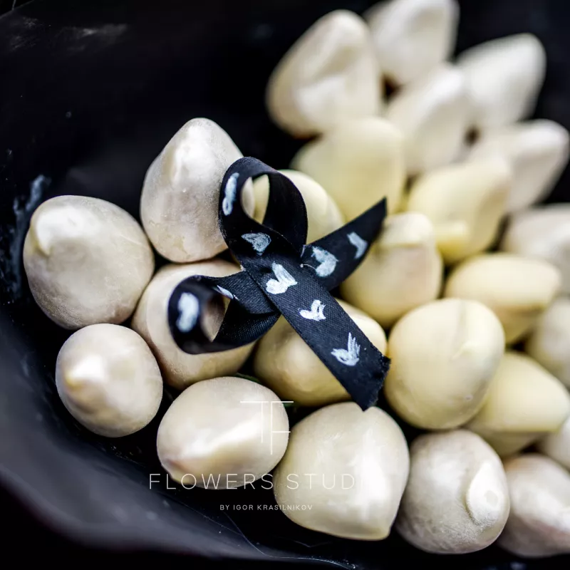 Сказка на ночь 2