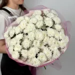 Собраны сегодня