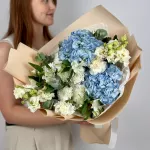 Собраны сегодня