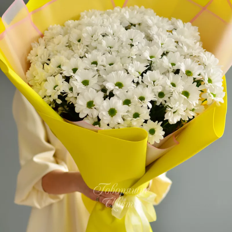 Ромашковое поле 2