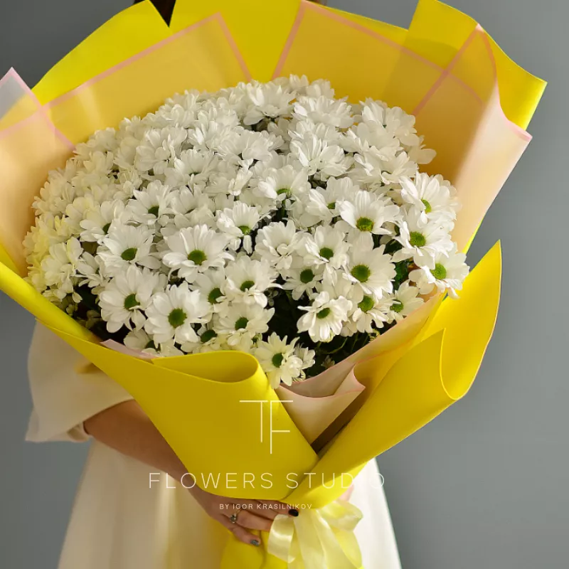 Ромашковое поле 3