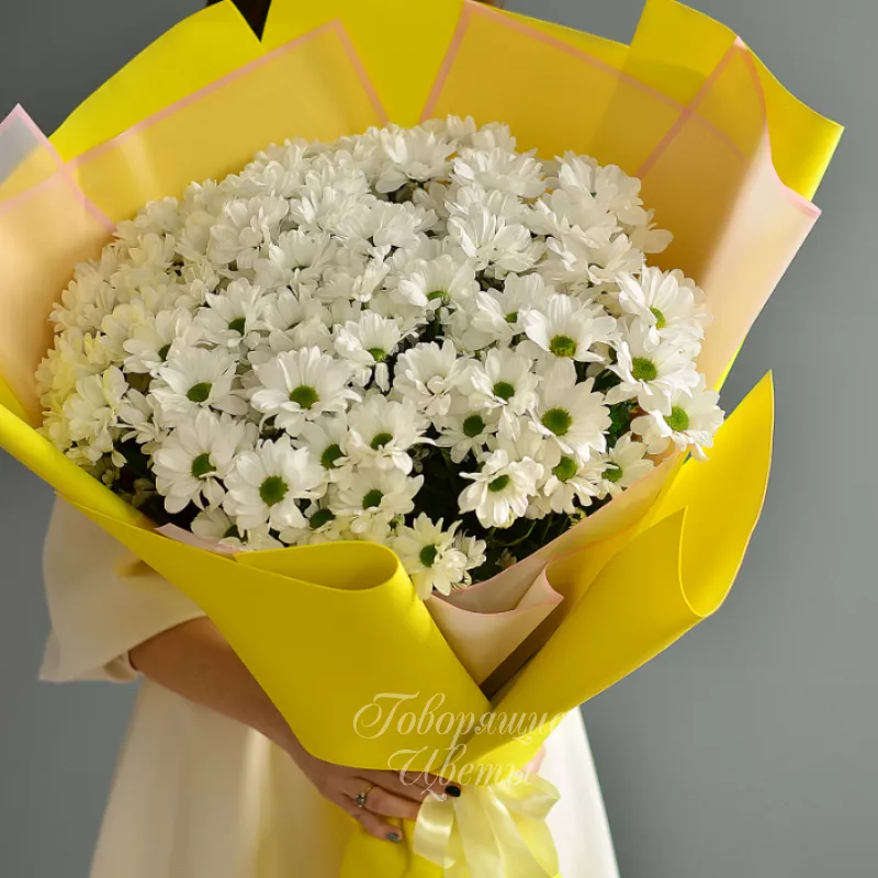 Ромашковое поле 3