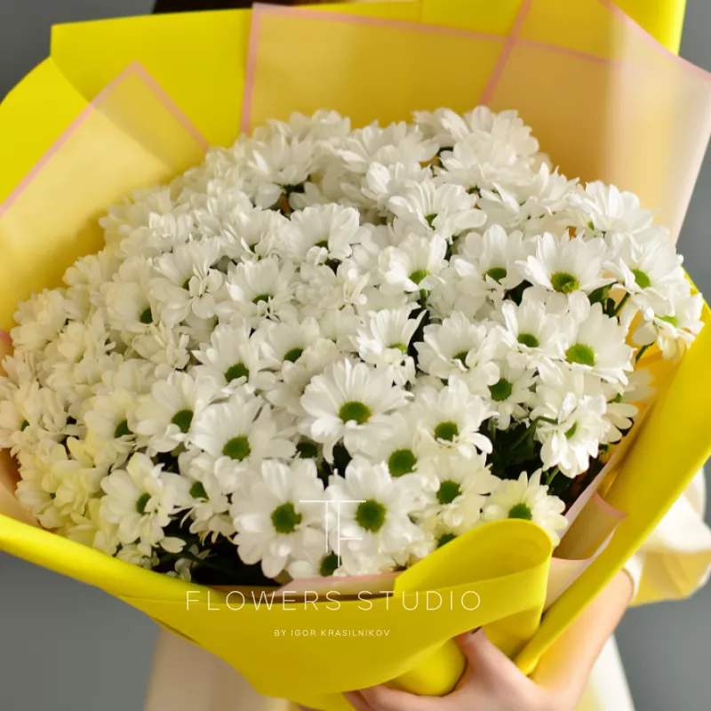 Ромашковое поле 4