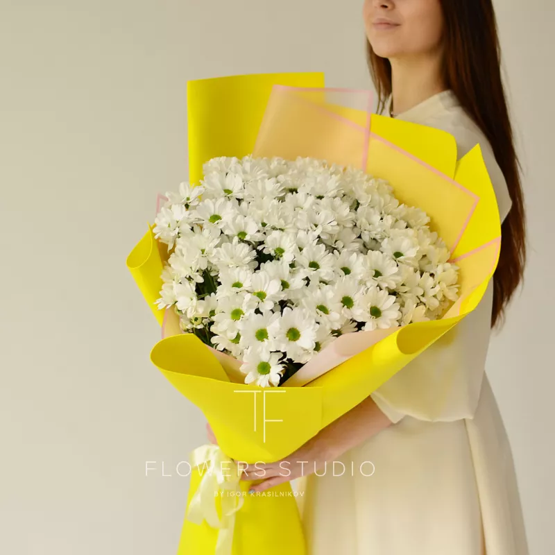 Ромашковое поле 1