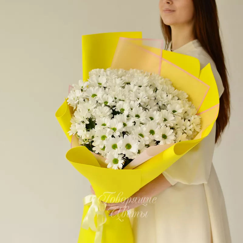 Ромашковое поле 1